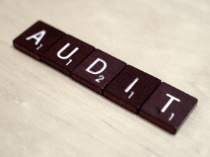 PPC Audit